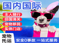 北戴河空运代理国际宠物托运 【国